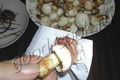 соленые грибы (холодный способ)