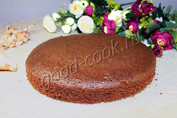 шоколадное масляно-бисквитное тесто
