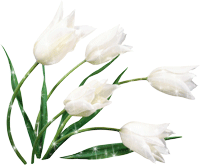 http://www.good-cook.ru/i/big/0/c/0ca2ad4a1c0daf12d9248cb66304af77.gif