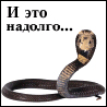 Как вам новый аватар