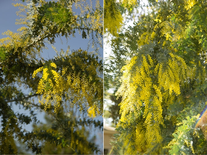 Понедельничное...