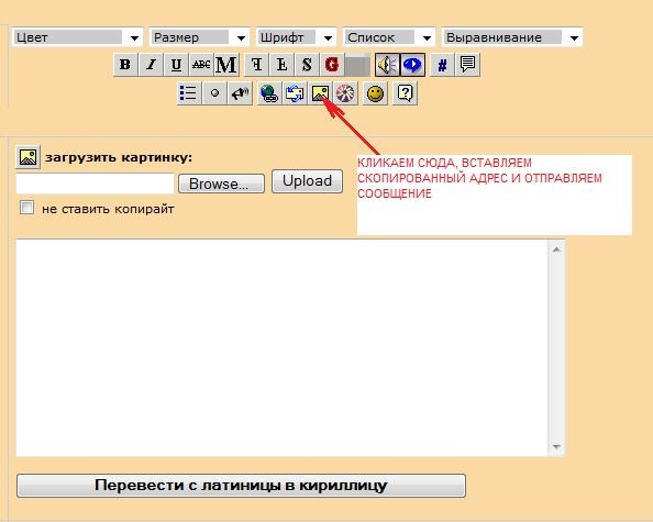 Итак, заливаем фото на сервер сайта, код, который выдаётся справа, НЕ копируем - 2