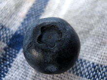 Вот такая она у нас голубика-blueberry