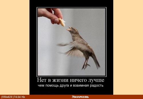 Образцы тортов для медикоффф ну ругайте меня, это вам к пятнице- демотиваторы - 5