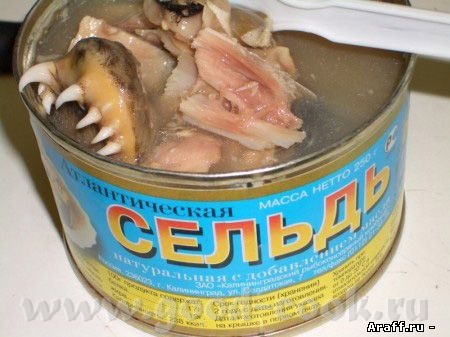 Вот вам девы селедочка к вашей тушоночке