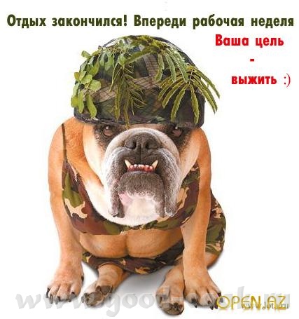 девы ,ПРИВЕТИК,,,,это для тех у кого утро когда у меня ночь,,, жизнеутверждающие афоризмы,,,, -весь...