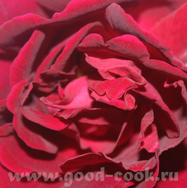 Ловите красоту с моего двора ,для вдохновения