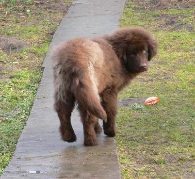      , ,    ,        ... - 4