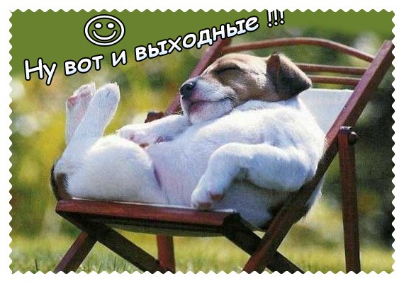 http://www.good-cook.ru/i/thbn/0/2/02bd515d47b0ca654e4dfaa030171888.jpg