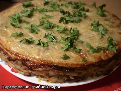 Я вырезала кружок, диаметром большим, чем дно