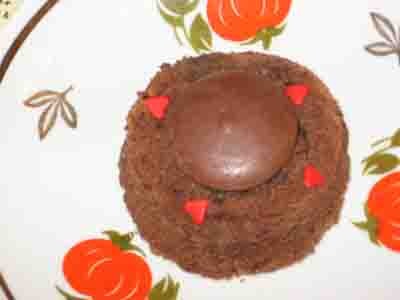 Biscuit au chocolat coulant   180    300   200   ...