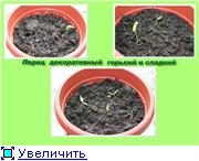 Всех приветствую - 4