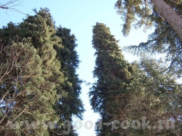 суперский домик - 3