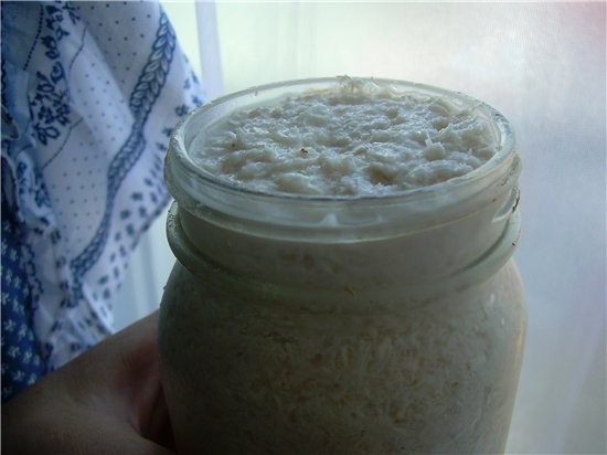 Домашний хрен двух видов красный и белый CHOUCROUTE ИЛИ КВАШЕНАЯ КАПУСТА - 4