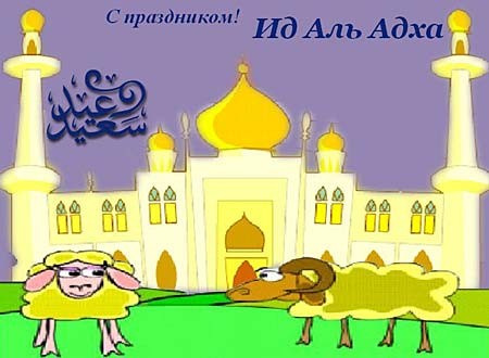 Отличные питы