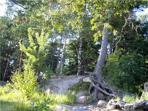   (   - )      (   ... - 4