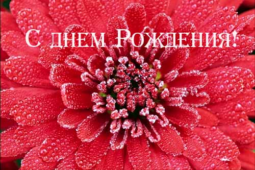 Светик - Яшмочка, С днем Варенья тебя