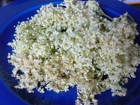      (Holnder)  :     - 2