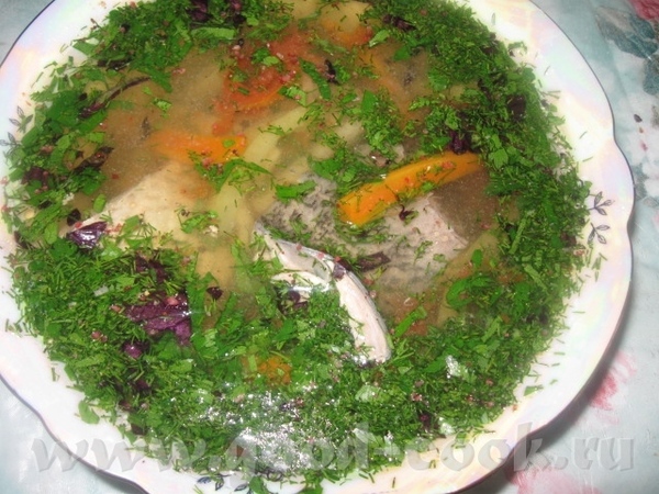 ВКУСНАЯ УХА ИЗ СВЕЖЕЙ РЫБЫ С ОВОЩАМИ И БЕЛЫМ ВИНОМ Очень ароматная и аппетитная уха с большим колич...