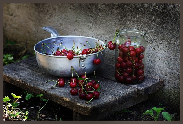 , а я знаю откуда эти натюрморты, сама оттуда кучку сохраняла - 3