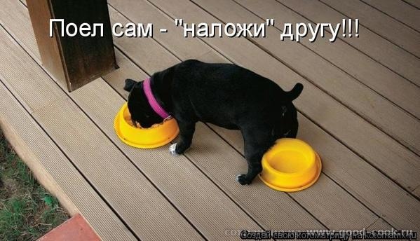 Амарилисы поспели Принимайте У меня тоже не открывается видео - 2