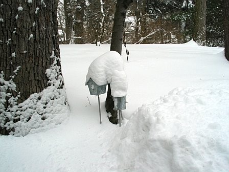 и у нас зима у нас в этом году снежная: - 4