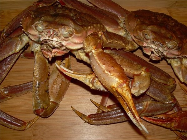 Наташа меня раздразнила рыбкой и усами креветок на фото