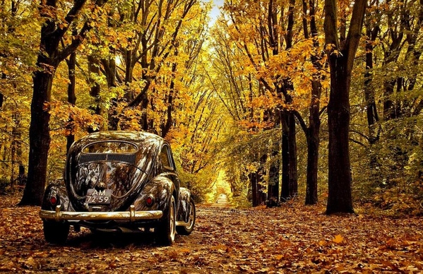 Красота - 3