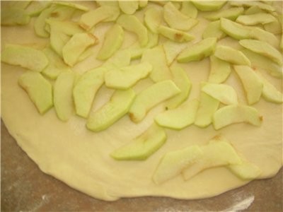 Фруктовые Рулеты с Голубикой и Яблоком - 2