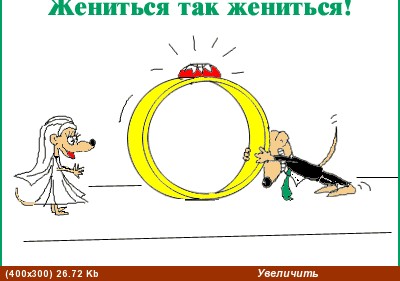 Земфира, я очень извиняюсь, что с опозданием