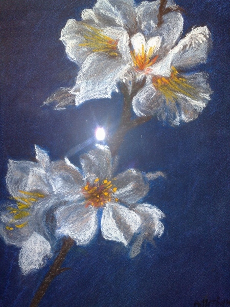 Пастель - 6