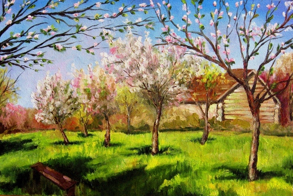 Мои новые картины Фиалка масло 20х30 см Рисовала с натуры Пионы Масло, 35х45 см Этюд с натуры в сту... - 6