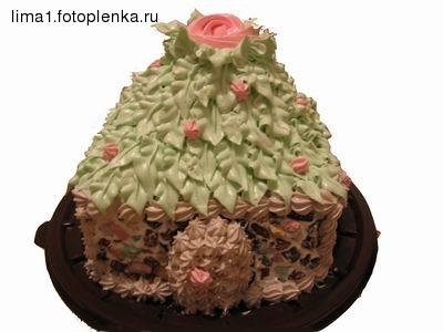 Домик дочке на день рождения