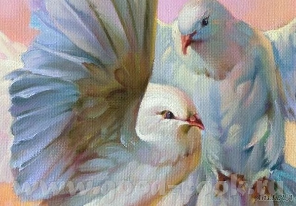 Девочки