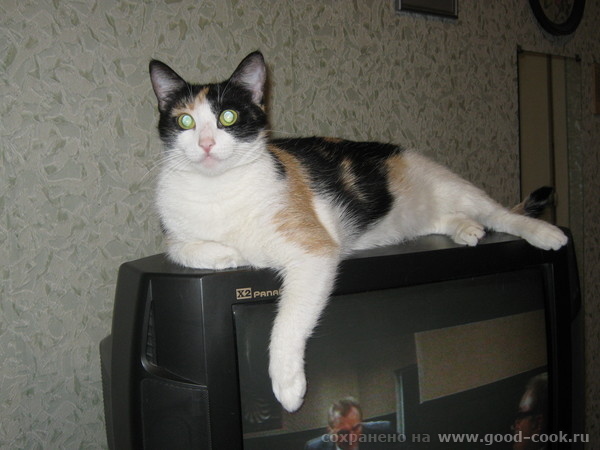 Алиса