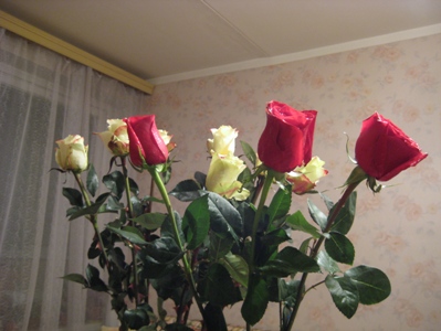 Хозяюшки-соседушки, всем пасибки - 2
