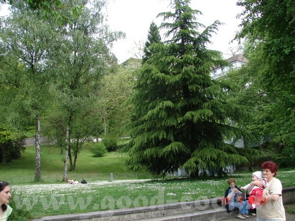 я вам тут экскурсию устроила - 3