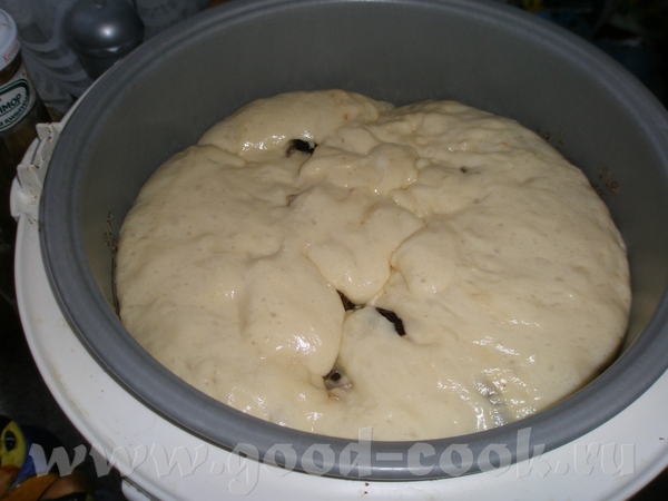 Мои куличики