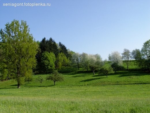 Замок крупнее - 3