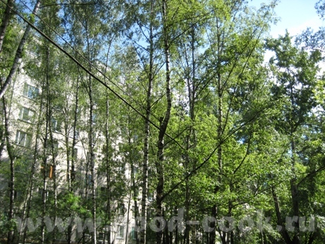 Я живу на окраине Москвы - 4