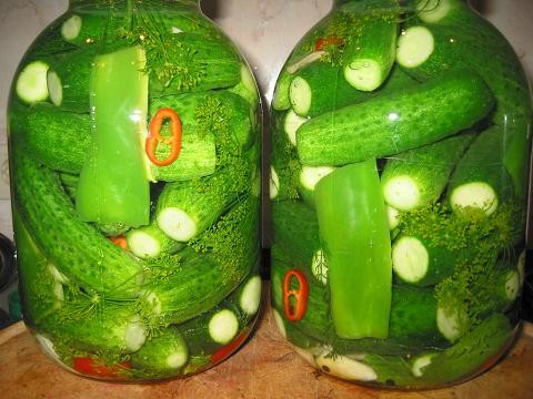 ОГУРЦЫ МАРИНОВАННЫЕ С ГОРЧИЦЕЙ