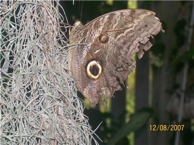 Вот фотки сделанные моей камерой - 2