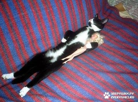 У меня еще много смешных фоток есть, если хотите, еще выставлю - 6