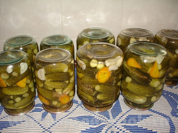 Наталь, кабачки симпотяшки Красивые баночки - 2