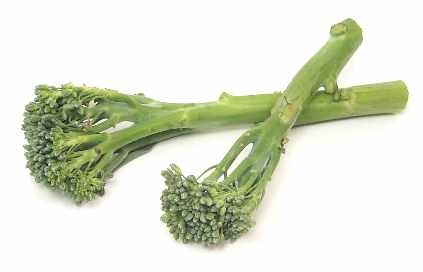 (broccoli) (broccoli Romanesco)  (broccolini = baby broccoli) - 3