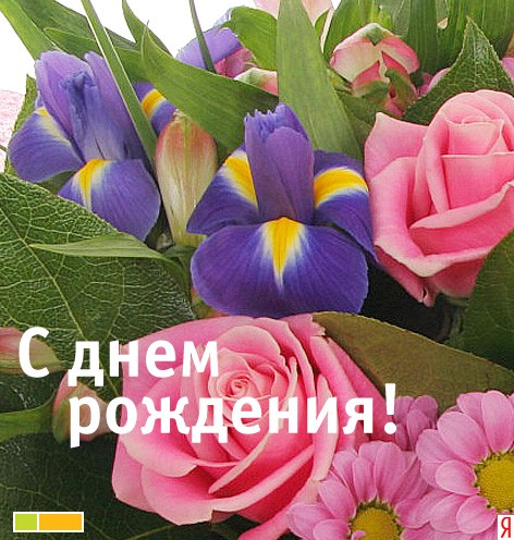 AlinaK, Аллустик, Leopolia, Yulia246, Opkikkertje, GOZELCHE, Juni, Fomich