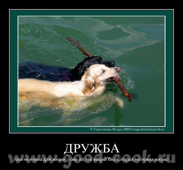 Образцы тортов для медикоффф ну ругайте меня, это вам к пятнице- демотиваторы - 4