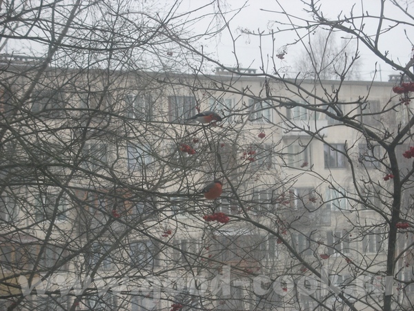 - Людочка