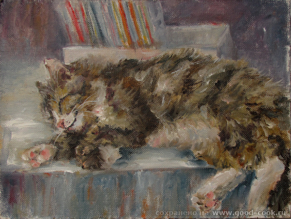 кот Мурик