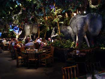 ,     - Rainforest cafe